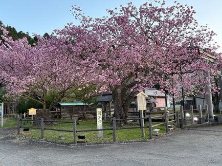 2026年ですね😊