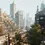 Thumbnail: Abandoned Post Apocalyptic City Pack Unreal Engine 5