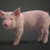 Thumbnail: Piggy Animations - Blender (full rig + Animation)