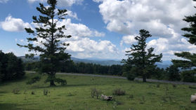 The Long Run: Where Do Watauga Runners Prefer to Get Their Mileage?