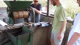 Learning by Doing: Inside Sustainability Study Abroad at Appalachian State