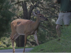 Man in Nature, a Photo Essay