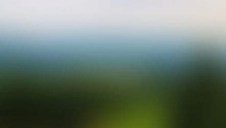 Growing Heritage: The Christmas Tree Farms of Watauga