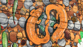Making the Town Colorful: Murals in Watauga County
