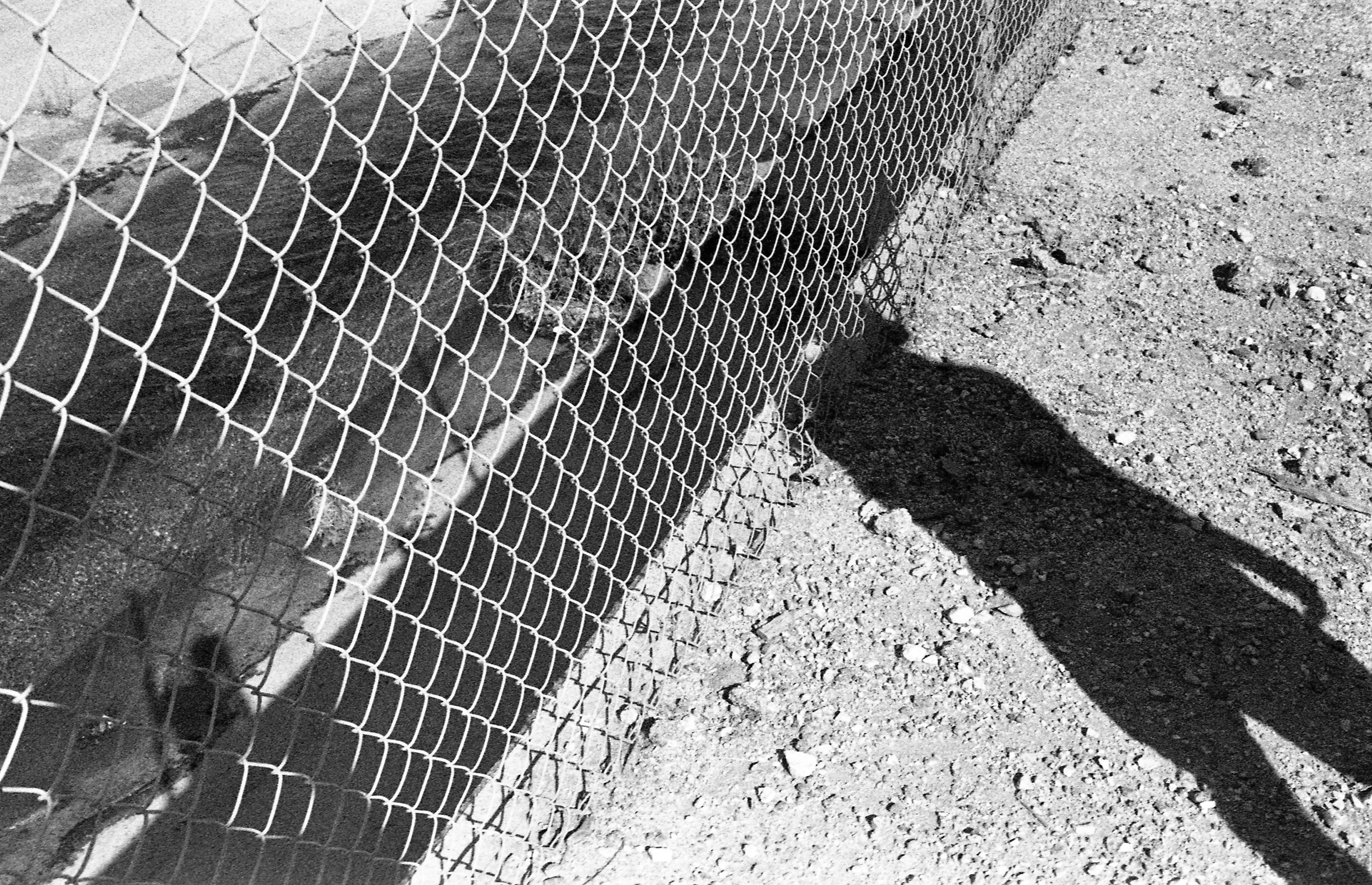 Natural light photography outdoors