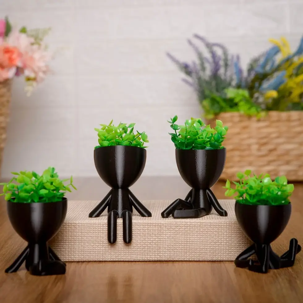 Miniatura: Vasinhos decorativos com plantas