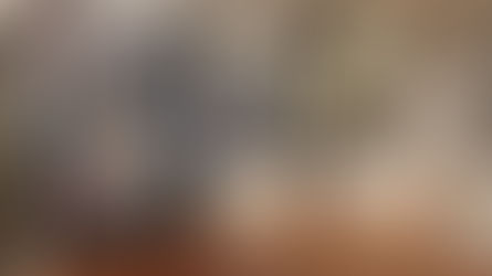 Tom Adams: The Art of the Artist.