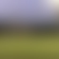 4月のスキップの雰囲気①