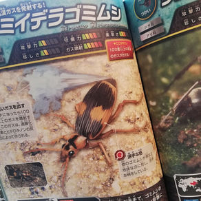 我が家ブームの予兆【１】