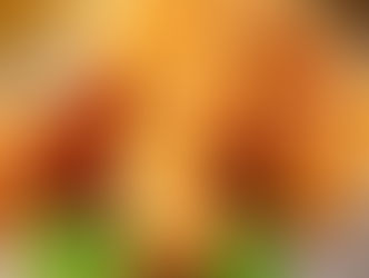 Frango Empanado Low Carb