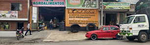Caballos