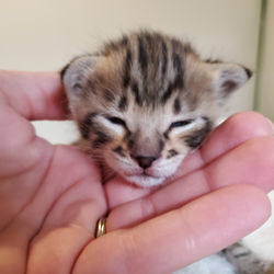 155318571_10157835150302091_8332620145234813579_n