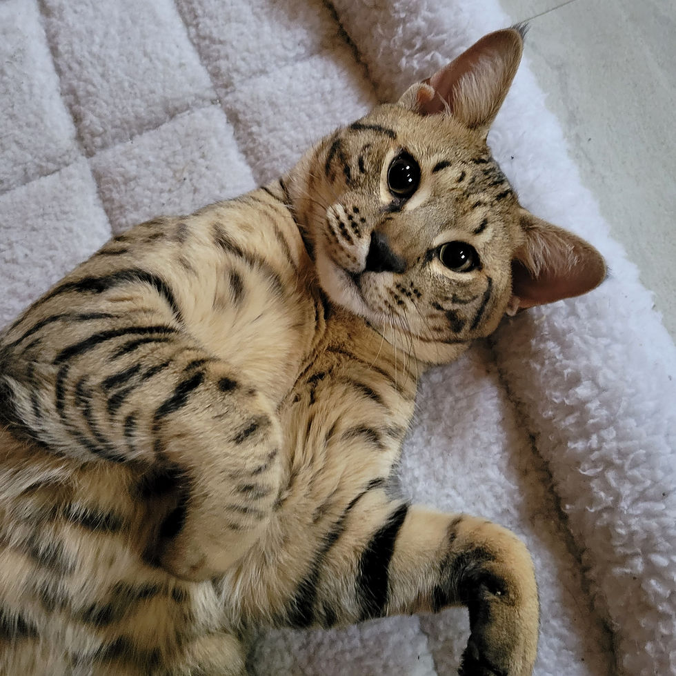 271056264_5899935123446014_7053836059570883692_n