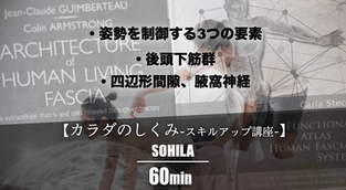【カラダのしくみスキルアップ講座】(2/26) 17:00〜18:00