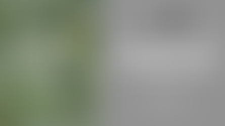 【アーサナマスタースキルアップ講座】(11/26)