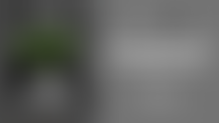 【アーサナマスタースキルアップ講座】(2/25)