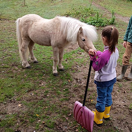 IMG_20251015_094250107_HDR (2)_edited.jpg