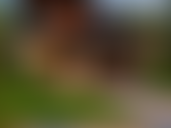 5 Questions You Should Always Ask Your Home Builder (But Don’t)