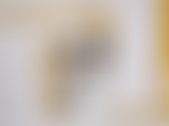 लखनऊ में LPG संकट के बीच PNG कनेक्शन का विस्तार तेज, हजारों घरों को पाइप गैस से जोड़ने की तैयारी