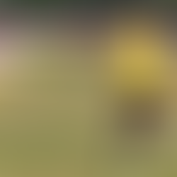 FIFA Launches Talent Academy in India to Nurture Young Footballers; First Centre Established in Hyderabad