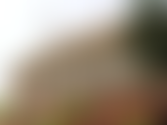 हंगामे के चलते राज्यसभा 2 बजे तक राज्यसभा स्थगित