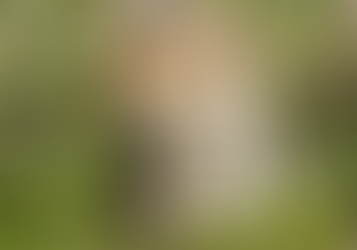 बहराइच में तेंदुए का आतंक: तीन ग्रामीणों पर हमला, दहशत में पूरा गांव