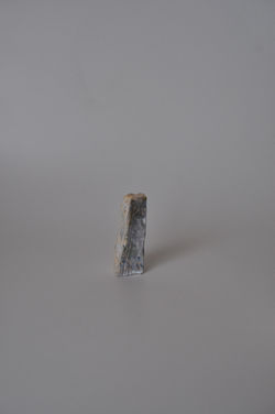 丘の上の塔あるいは美しい悲しみ Tower on the Hill or Beautiful Sorrow