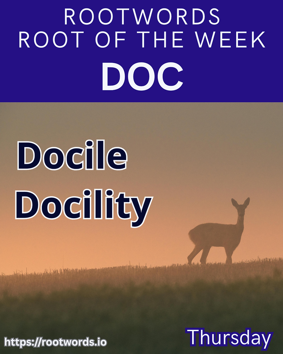 Teaching and Recording: Words built on DOC