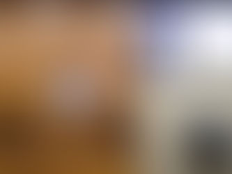 A More Precious Citizenship?