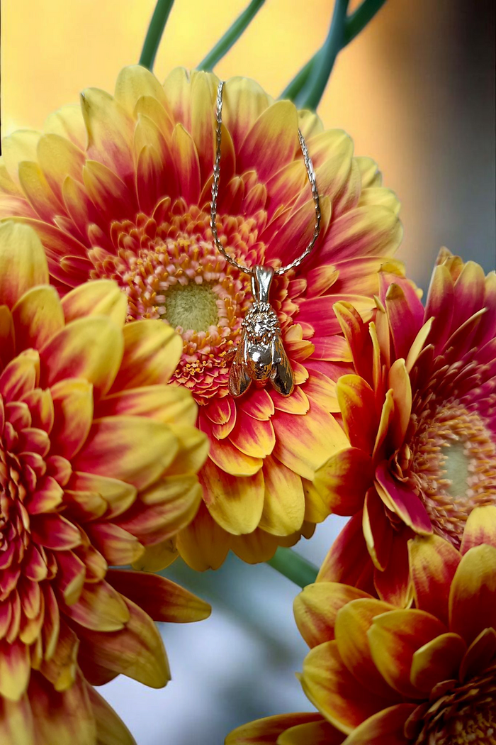 A bright future for every bee