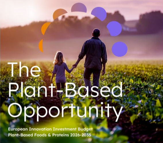 FoodConNext Foundation News - latest updates on protein transition and hybrid food innovation