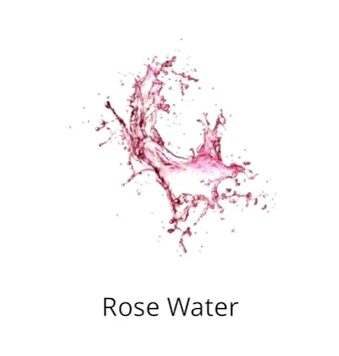 Rose water ingredients sophia beck skincare products