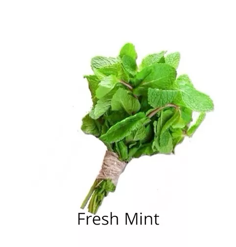 fresh mint ingredients sophia beck beauty products