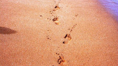 Ternet's CO2 Footprint gecertificeerd