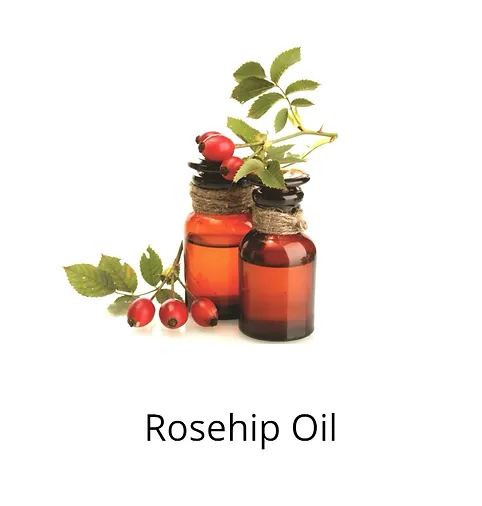 Rosehip oil ingredients sophia beck skincare products