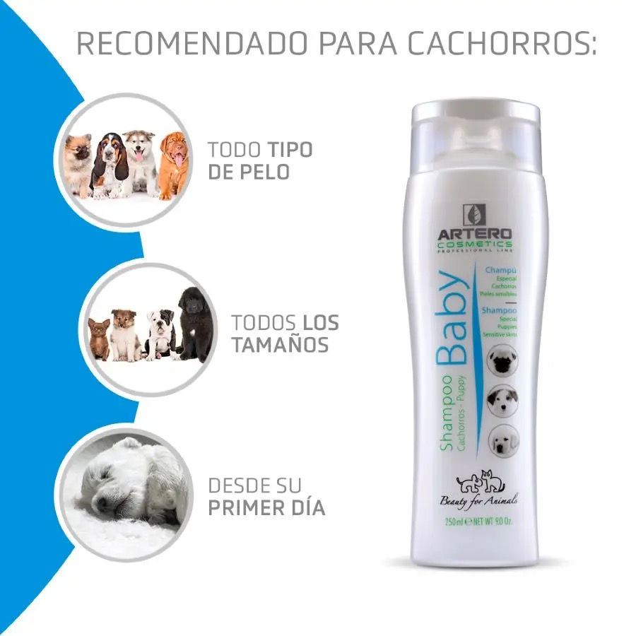 PIP & CO