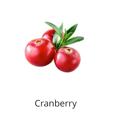 Cranberry ingredients sophia beck skincare products