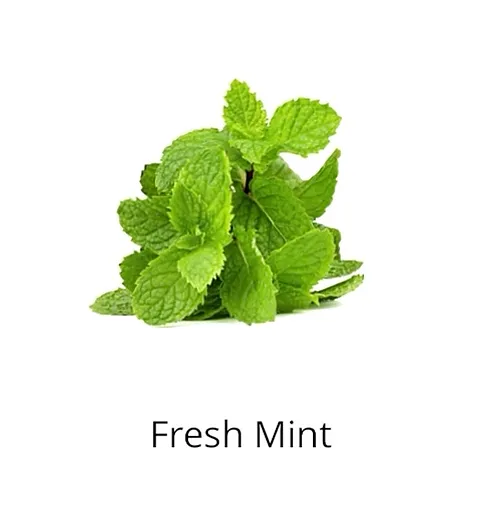 fresh mint ingredients sophia beck skincare products
