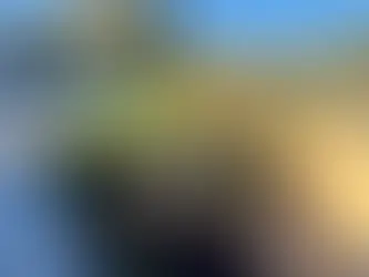 Front garden finished at Wanneroo Road