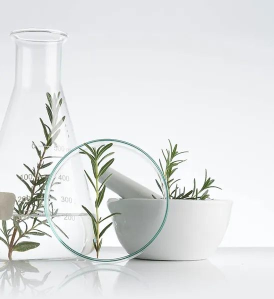 Sophia Beck 100% handmade in Denmark