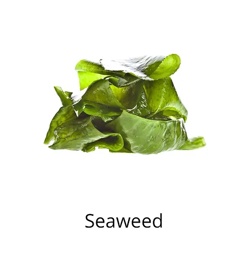 Saweed ingredients sophia beck skincare products