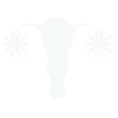 04.png
