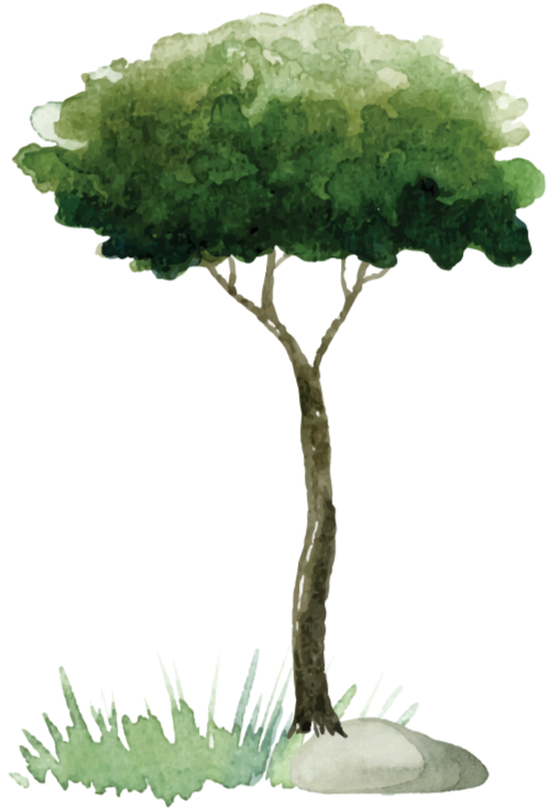 S_J_Events_Page_Shabbat_Trees_Right.svg.png