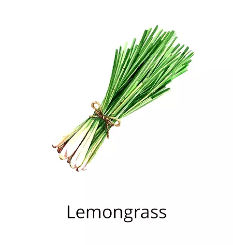 Lemongrass ingredients sophia beck skincare products