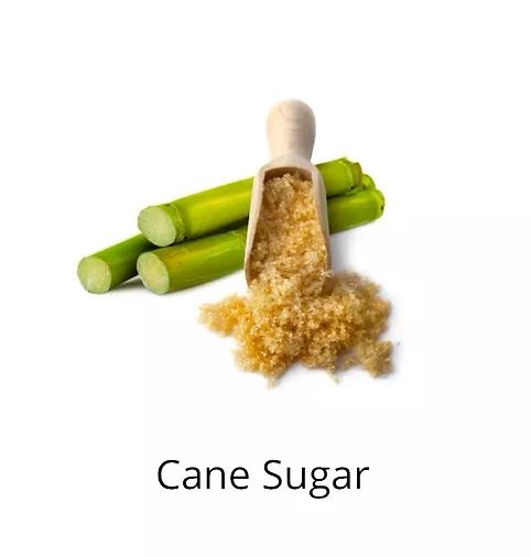 Cane Sugar sophia Beck ingredients