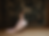 058266_d09d62c37f0e49329bfea6d0fdda7764~mv2.png