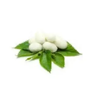 silk protein ingredients sophia beck skincare products