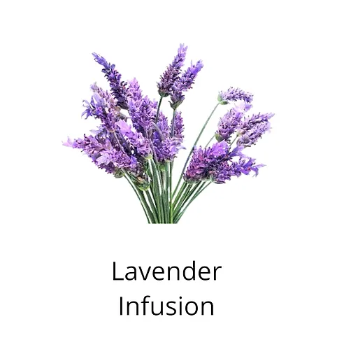 lavender infusion ingredients sophia beck skincare products