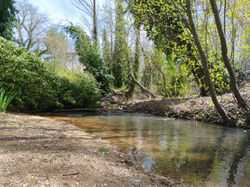 Rio Ojos de Moya en Landete 08-04-24 (2)