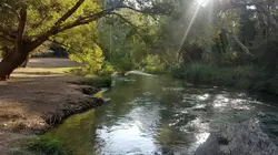 Carrusel-Playeta-1 (1)